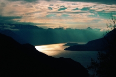 41_mont