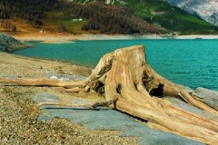45_mont