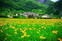 57_mont