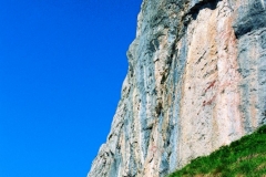 59_mont
