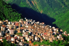 60_mont