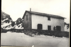 comi19