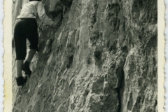 tairoldi01