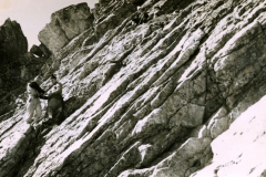 redaelli_023