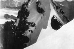 D005