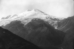 D027