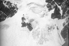 D047
