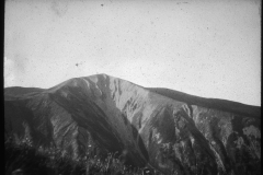 D069