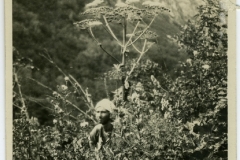 GASPARLEOP_023a
