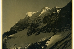 GASPARLEOP_035