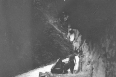 k013