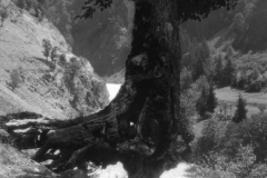 r096