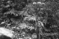 r098