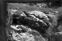 r099
