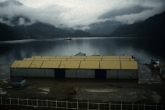 CFER1205