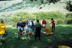 CERROA26