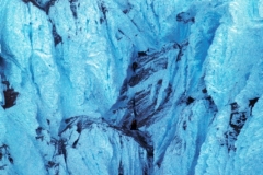 CERROF01
