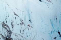 CERROF39