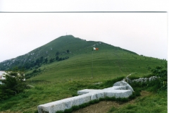 sec_238