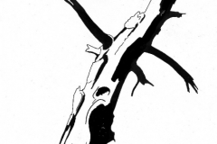 disegni_patagonia_003