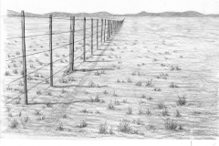 disegni_patagonia_010