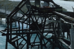 CFER286