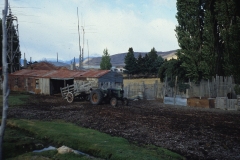 CFER295