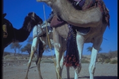 IMG00093