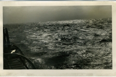 GASPARLEOP_013a