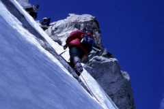 CFER2001