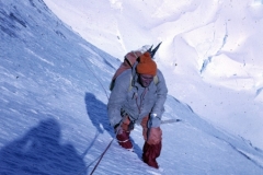 CFER2004