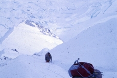 CFER2009