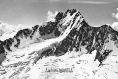 Masino