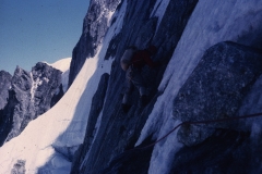 TINO23