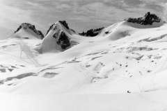 bianco_002