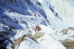 CFER241