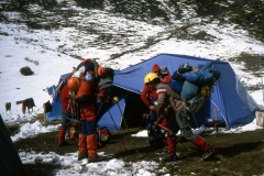 circolare 1029