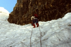circolare 1043
