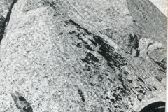 redaelli_608