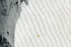 redaelli_617