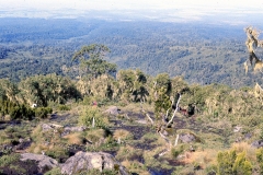 Ruwenzori006
