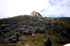 Ruwenzori010
