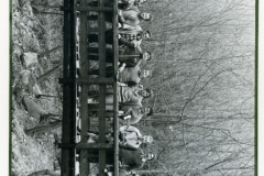 sec_011