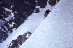 redaelli_285