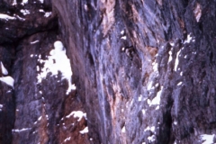 redaelli_286
