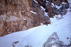 redaelli_290