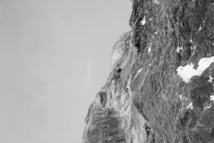 redaelli_297