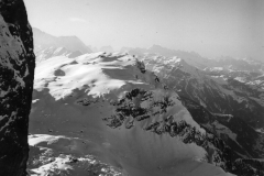 redaelli_300