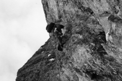 redaelli_311