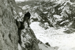 redaelli_313